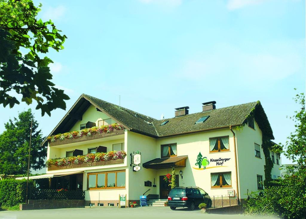 Hasselberger Hof Hotel Hasselberg  Екстериор снимка